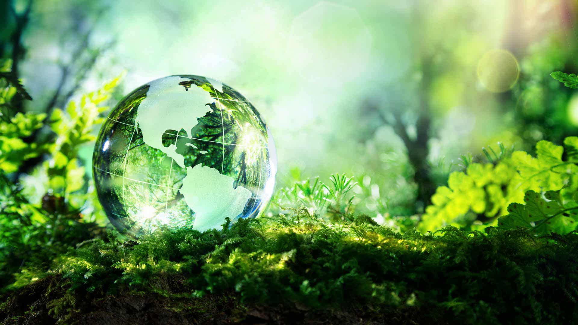 02-Environmental-1920